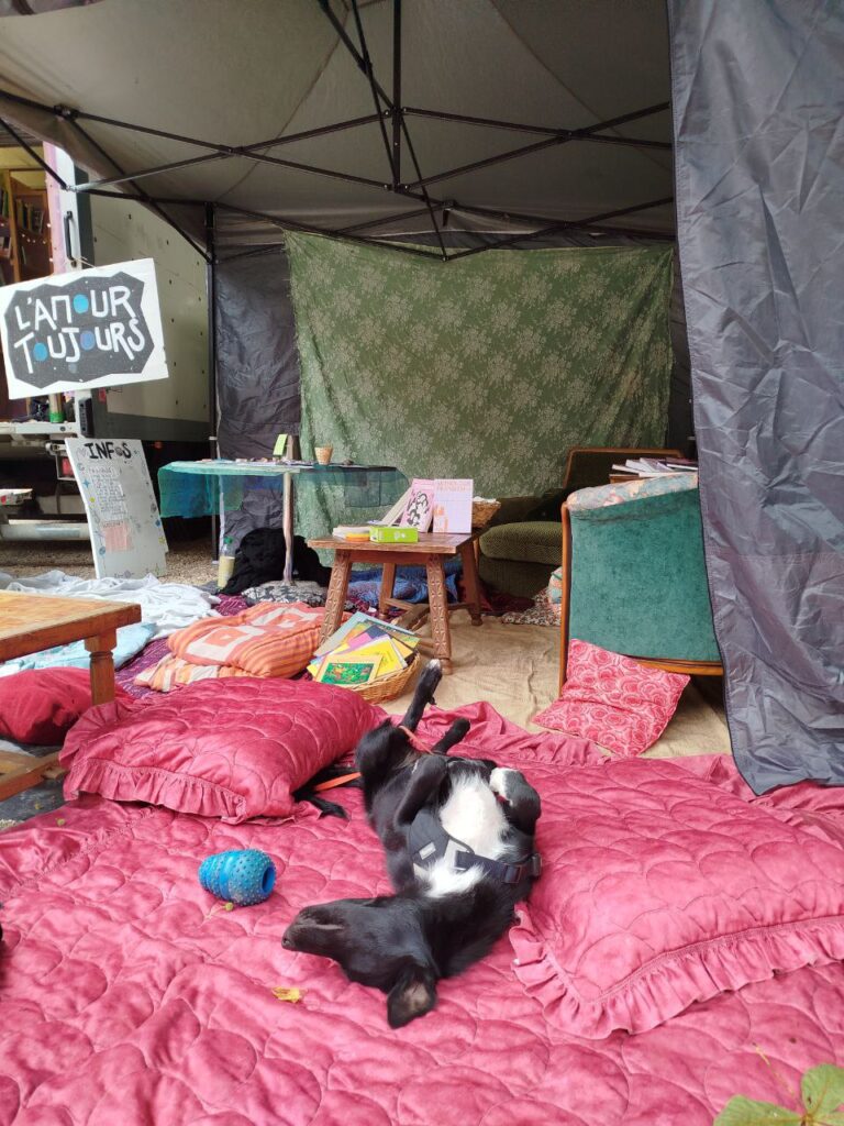 photo_2025-11-29 21.01.20