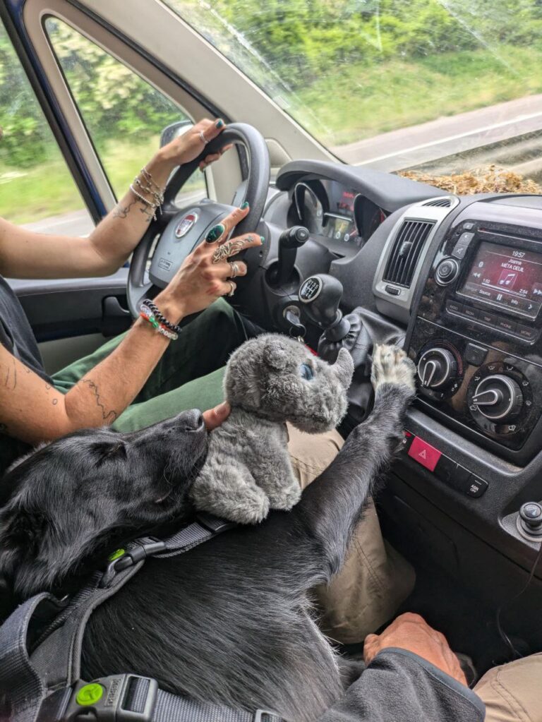 photo_2025-11-29 21.04.08